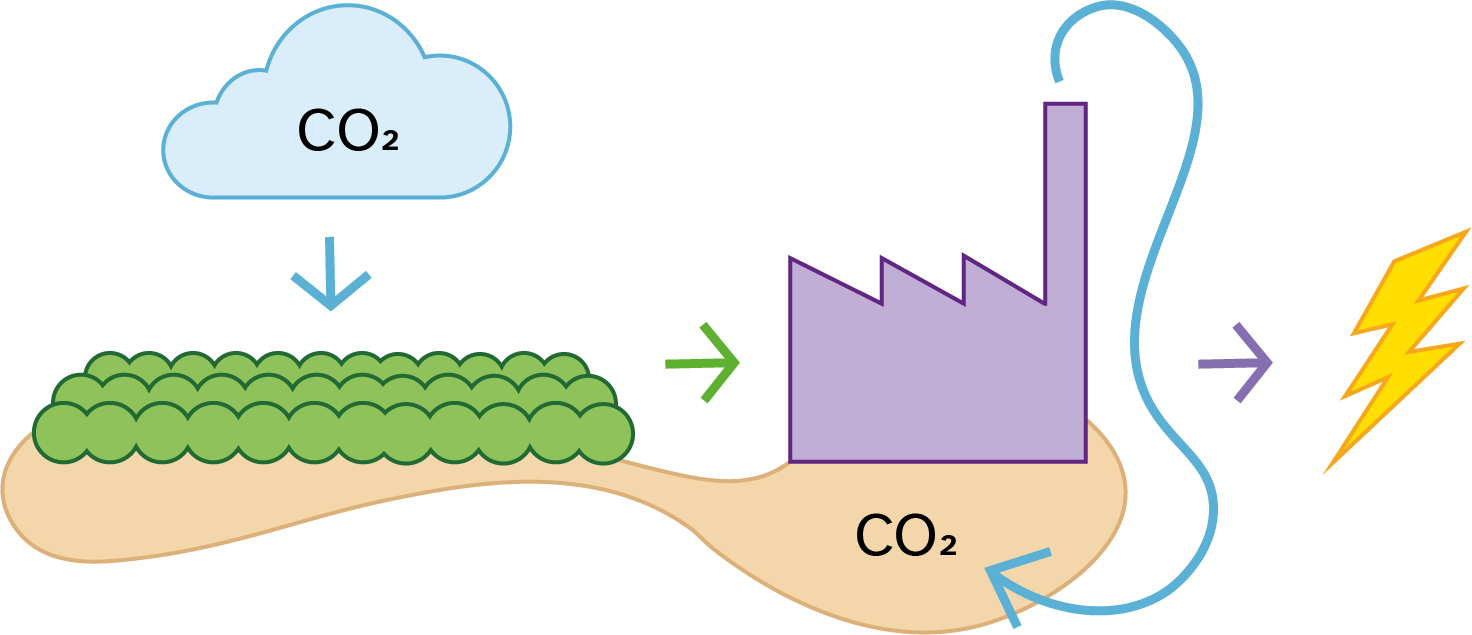 Illustrasjon av hvordan bioenergi med karbonfangst kan fange CO2 i et kretsløp.