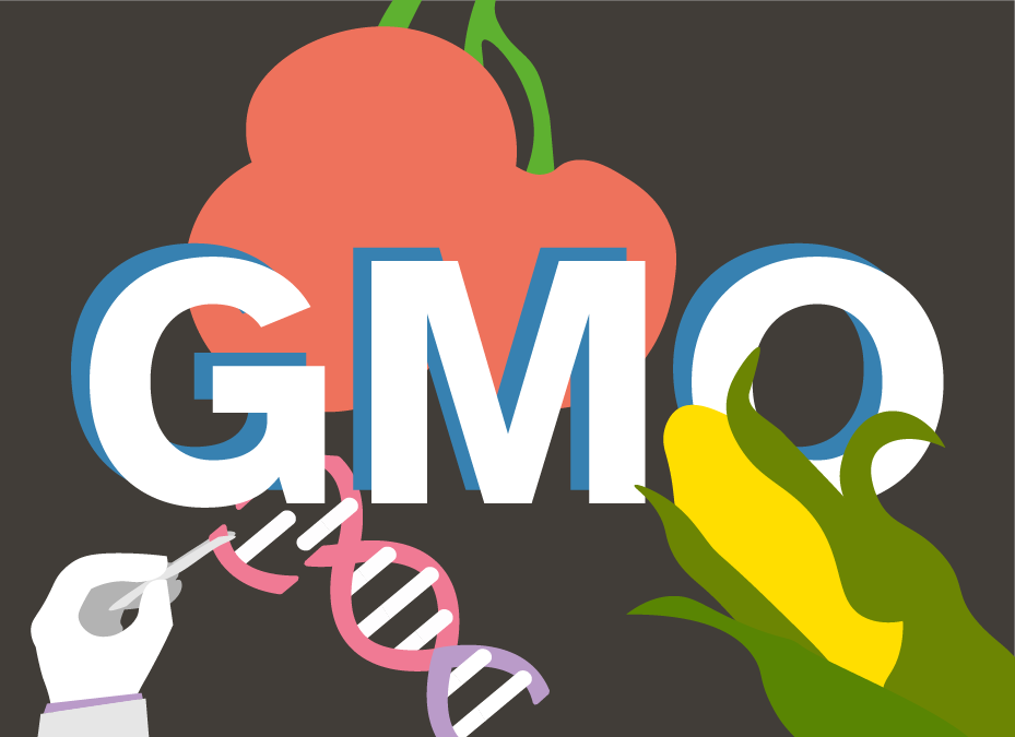 To gr&oslash;nnsaker og et DNA-molekyl som blir delvis endret av en h&aring;nd, bak teksten 
