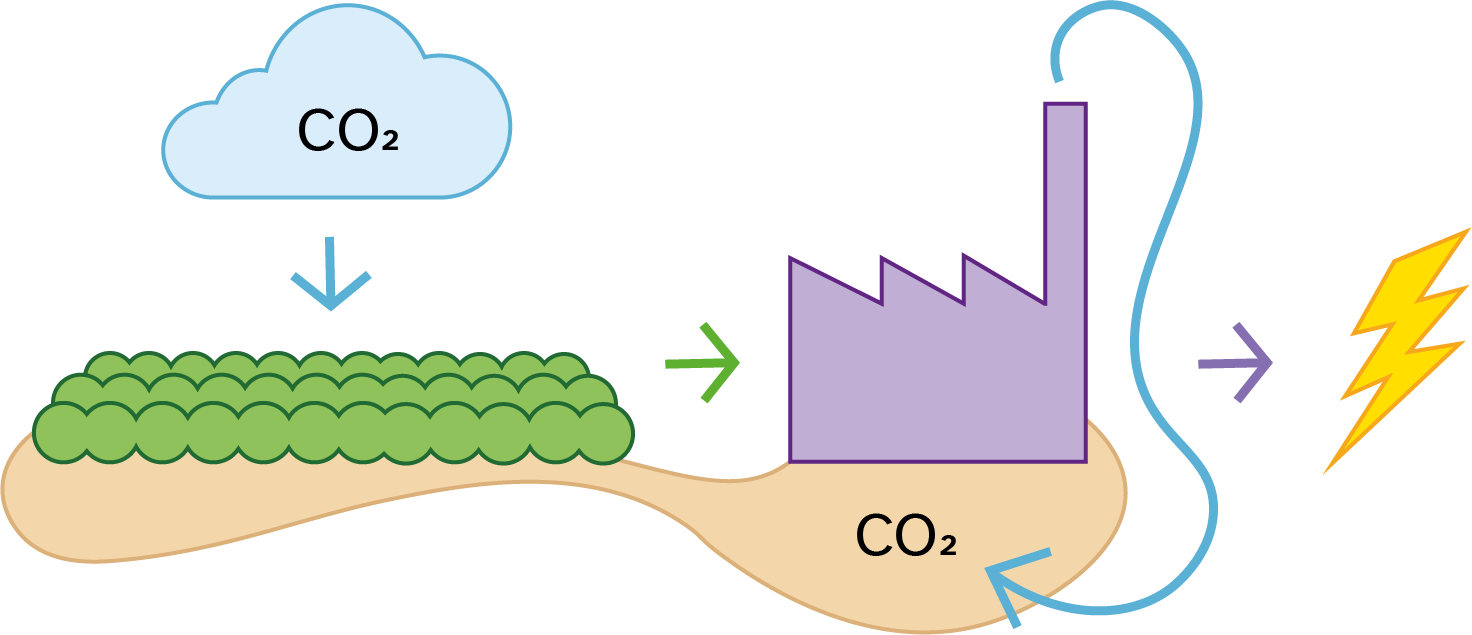 Illustrasjon av hvordan bioenergi med karbonfangst kan fange CO2 i et kretsl&oslash;p.